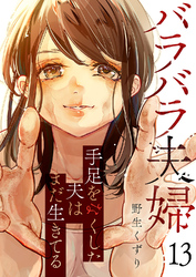 バラバラ夫婦～手足をなくした夫はまだ生きてる１３