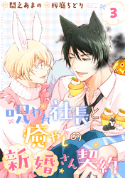 呪われ社長と癒やしの新婚さん契約 【分冊版】 3話