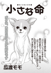 あなたの隣のモンスター主婦ＳＰ～小さな命～
