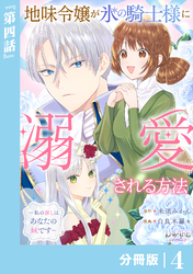地味令嬢が氷の騎士様に溺愛される方法【分冊版】４