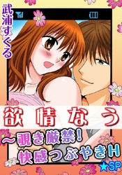 欲情なう～覗き厳禁！快感つぶやきH★SP