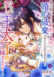 【期間限定　無料お試し版】最大限こちらに有利な条件で婚約破棄させていただきますわ！そして、愛しの王太子様に嫁ぎます！ 1巻