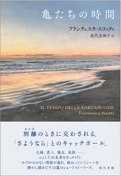 亀たちの時間