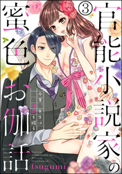 官能小説家の蜜色お伽話 今宵、先生は情欲を綴る（分冊版）　【第3話】