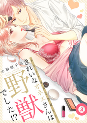 きれいなオネエさんは野獣でした！？～エリートさんと社畜女子【電子特装版】(3)