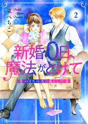 新婚0日、魔法がとけて～ハイスペ夫の落とし穴～2