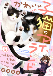 かわいい子猫のアイランド　～漫画家が保護猫を引き取った話～　ベツフレプチ（３）