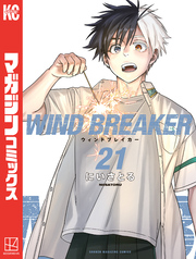 ＷＩＮＤ　ＢＲＥＡＫＥＲ（２１）