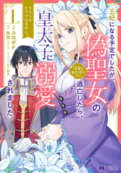 王妃になる予定でしたが、偽聖女の汚名を着せられたので逃亡したら、皇太子に溺愛されました。そちらもどうぞお幸せに。（コミック） 分冊版 30