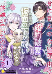 身に覚えのない理由で婚約破棄されましたけれど、仮面の下が醜いだなんて、一体誰が言ったのかしら？【コミックス版】