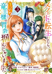 メイドに転生したら、うっかり竜王様の胃袋掴んじゃいました～元ポンコツOLは最強料理人！？～3巻