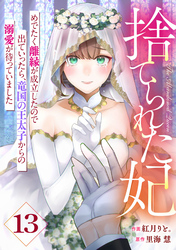 Berry’sFantasy捨てられた妃　めでたく離縁が成立したので出ていったら、竜国の王太子からの溺愛が待っていました13巻