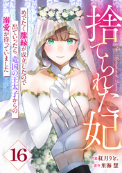 Berry’sFantasy捨てられた妃　めでたく離縁が成立したので出ていったら、竜国の王太子からの溺愛が待っていました16巻