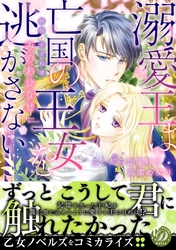 溺愛王は亡国の王女を逃がさない～ふしだらな蜜月と高潔の契り～