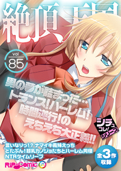 絶頂天国vol85 ～男の夢が詰まった…トランス！ハーレム！時間逆行！のえちえち大正義！！～【シチュコレ！シリーズ】
