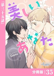 美しいあなた【分冊版】35（ビアンココミックス）