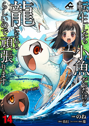 【分冊版】転生したら小魚だったけど龍になれるらしいので頑張ります 第14話