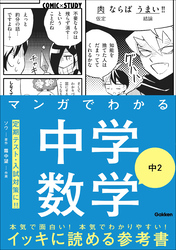 マンガでわかる中学数学 中2