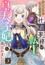 万能魔法の事務スキル～社畜事務が転生したら皇太子妃（仮）に選ばれました。(3)