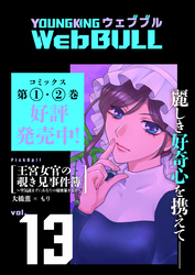 Web BULL13号