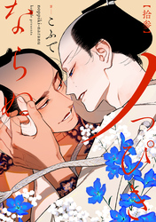 ノっぴきならぬ　分冊版 13