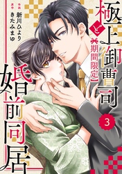 comic Berry’s極上御曹司と【期間限定】婚前同居3巻