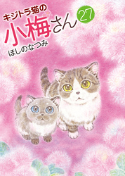 キジトラ猫の小梅さん（27）