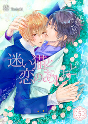 迷い猫と恋のあしあと(5)