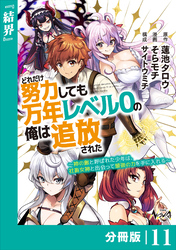 どれだけ努力しても万年レベル０の俺は追放された～神の敵と呼ばれた少年は、社畜女神と出会って最強の力を手に入れる～【分冊版】（ノヴァコミックス）１１