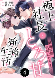 comic Berry’s離婚前提、夫婦はじめます～極上社長ととろ甘新婚生活～4巻