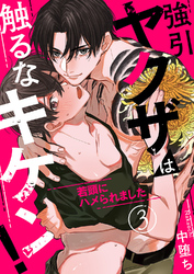 強引ヤクザは触るなキケン！～若頭にハメられました３