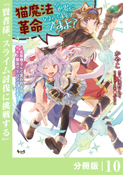 猫魔法が世界に革命を起こすそうですよ？【分冊版】（ノヴァコミックス）１０