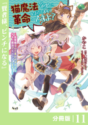 猫魔法が世界に革命を起こすそうですよ？【分冊版】（ノヴァコミックス）１１