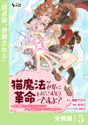 猫魔法が世界に革命を起こすそうですよ？【分冊版】（ノヴァコミックス）５