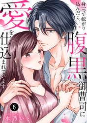 身一つで転がり込んだら、腹黒御曹司に愛を仕込まれています６