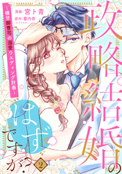 【単行本】政略結婚のはずですが？ ～極甘御曹司の溺愛ウエディング計画～2