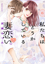 私たちはどうかしている　妻恋い　分冊版（６）
