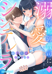 溺愛シンデレラ 極上御曹司に見初められました 【分冊版】3話