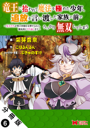竜王に拾われて魔法を極めた少年、追放を言い渡した家族の前でうっかり無双してしまう～兄上たちが僕の仲間を攻撃するなら、徹底的にやり返します～（コミック） 分冊版 6