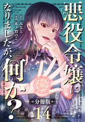 悪役令嬢になりましたが、何か？【分冊版】14