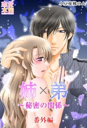 姉×弟～秘密の関係～ 番外編