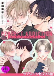 パーフェクトアディクション ラブシーンセレクト版【極】