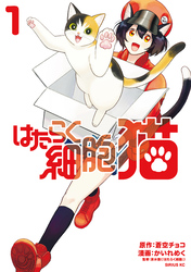 【期間限定　無料お試し版】はたらく細胞　猫