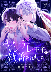 ヤンデレ王子に執着されました(3)