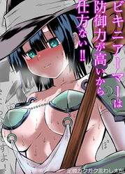 ビキニアーマーは防御力が高いから仕方ない！！