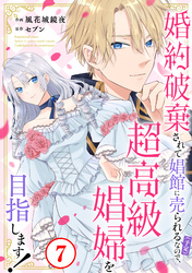 婚約破棄されて娼館に売られる（予定）なので、超高級娼婦を目指します！7