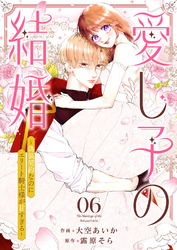 愛し子の結婚～偽装契約なのにエリート騎士様が甘すぎる～６