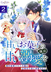 甘いお菓子の後は甘い溺愛を～婚約破棄された令嬢は辺境伯子息に溺愛される～【合冊版】（2）