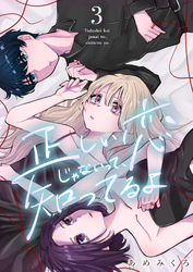 正しい恋じゃないって、知ってるよ 3巻