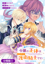 【期間限定　無料お試し版】殿下が一目惚れした令嬢の正体はあなたの護衛騎士です！ THE COMIC【分冊版】 3巻